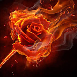 Meet your Posher, Javier